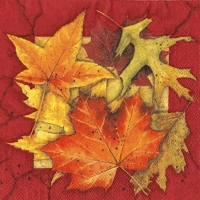 10x napkin Rare Leave red
