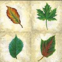 7x napkin Rare Leave cream