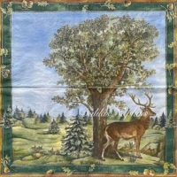Rare In the Forest by Markus Binz   the whole napkin