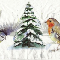 Winter birds  watercolor