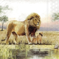 9x napkin Lion family
