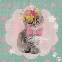 Kitten with pink bow  turquoise