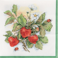 Rare Strawberries art by Ingrid Elf