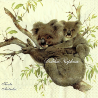 Rare Koala/ Kangaroo Australia cream