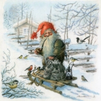 3x napkin Rare Dwarf/ Gnome art by Kjell E. Midthun