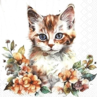 Rare Kitten with orange flowers