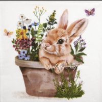 3x napkin Cute bunny Colette