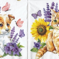 Kitten and puppy / lavender and sunflower