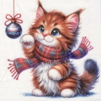 Rare Kitten with scarf