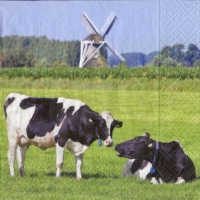 Dutch meadow